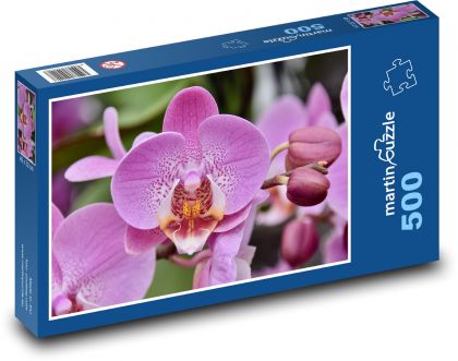 Růžová orchidej - květina, květ - Puzzle 500 dílků, rozměr 46x30 cm