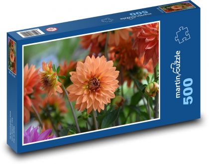 Dalia - kwiat pomarańczy, kwiat - Puzzle 500 elementów, rozmiar 46x30 cm
