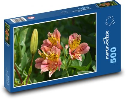 Lilie - květ, poupě - Puzzle 500 dílků, rozměr 46x30 cm