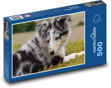Dog - Shetlendian Shepherd, wall Puzzle of 500 pieces - 46 x 30 cm