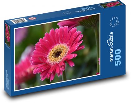 Flower - gerbera, flower - Puzzle of 500 pieces, size 46x30 cm 