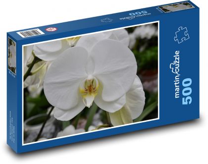 Biela orchidea - kvetina, kvet - Puzzle 500 dielikov, rozmer 46x30 cm 