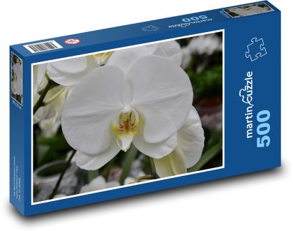 Weiße Orchidee - Blume, Blüte - Puzzle - 500 Teile