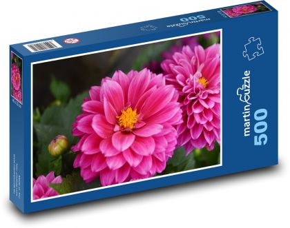 Jiřina - růžový květ, zahrada - Puzzle 500 dílků, rozměr 46x30 cm