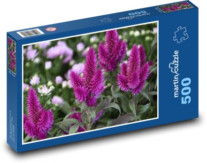 Fialový květ - nevadlec, zahrada - Puzzle 500 dílků, rozměr 46x30 cm