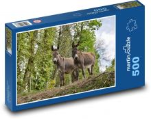 Donkeys - herbivores, nature Puzzle of 500 pieces - 46 x 30 cm 