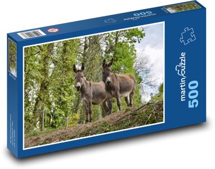 Donkeys - herbivores, nature - Puzzle of 500 pieces, size 46x30 cm 