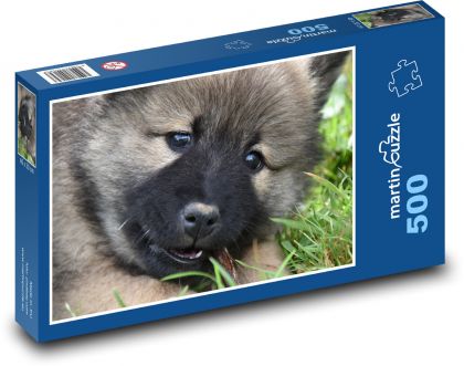Hund - Eurasier, Welpe - Puzzle - 500 Teile