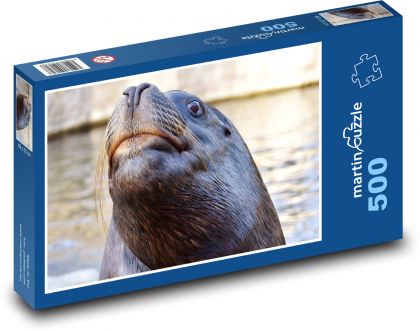 Seelöwe - Tier, Wasser - Puzzle - 500 Teile