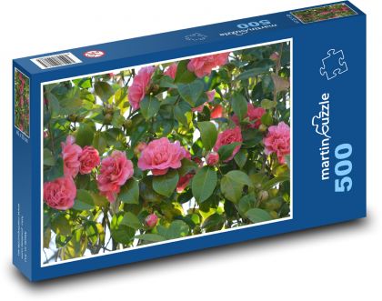 Kamelia - kwiaty, różowy kwiat - Puzzle 500 elementów, rozmiar 46x30 cm