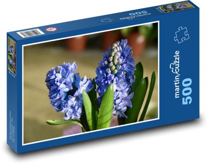 Hyacint - modrý květ, zahrada - Puzzle 500 dílků, rozměr 46x30 cm