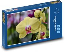 Orchid - flower, yellow flower Puzzle of 500 pieces - 46 x 30 cm
