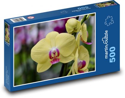 Orchid - flower, yellow flower - Puzzle of 500 pieces, size 46x30 cm 