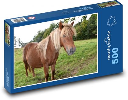 Shetland pony - horse, farm - Puzzle of 500 pieces, size 46x30 cm 