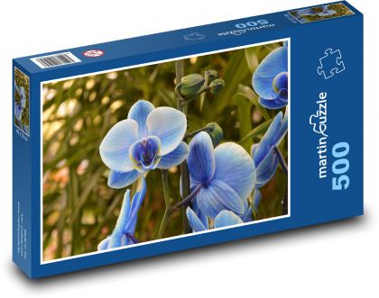 Orchidej - modrý květ, květina - Puzzle 500 dílků, rozměr 46x30 cm