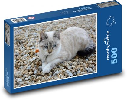 Kočka - domácí mazlíček, zvíře - Puzzle 500 dílků, rozměr 46x30 cm