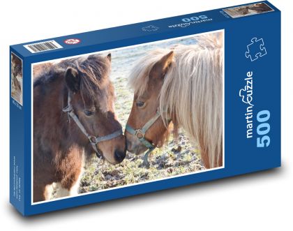 Shetlendský pony, zvíře - puzzle 500 dílků