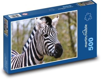 Zebra - zvíře, Afrika - Puzzle 500 dílků, rozměr 46x30 cm