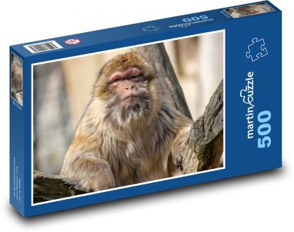 Makak - opice, zvíře - puzzle 500 dílků