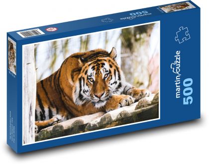 Tygr - zvíře, zoo - puzzle 500 dílků