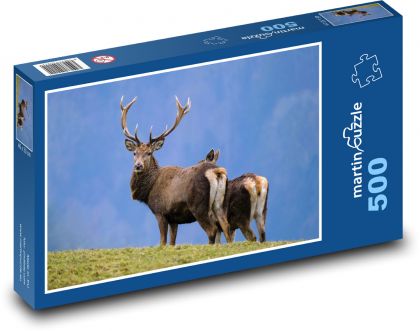 Jeleń - poroże, dzika przyroda - Puzzle 500 elementów, rozmiar 46x30 cm