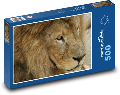 Lion - predator, mane - Puzzle of 500 pieces, size 46x30 cm 