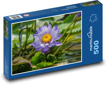 Lotus flower - flower, pond - Puzzle of 500 pieces, size 46x30 cm 