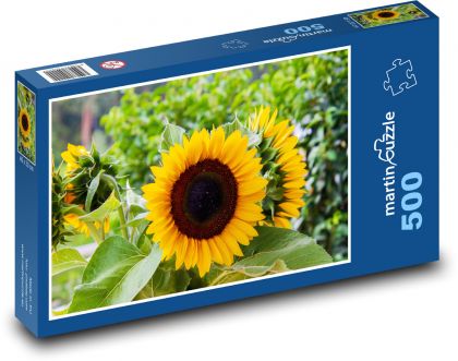 Sonnenblume - gelbe Blume, Sommer - Puzzle - 500 Teile