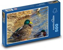 Duck - duck, birds Puzzle of 500 pieces - 46 x 30 cm 
