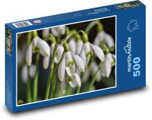Sněženky - květina, jaro Puzzle 500 dílků - 46 x 30 cm