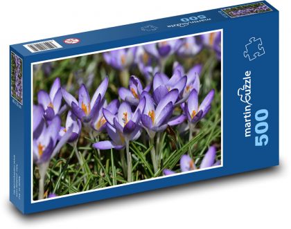 Krokus - kwiat, ogród - Puzzle 500 elementów, rozmiar 46x30 cm