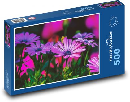 Gänseblümchen - lila Blume, Garten - Puzzle - 500 Teile