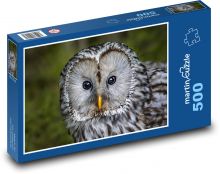 Owl - bird, animal Puzzle of 500 pieces - 46 x 30 cm