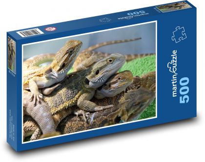 Jašterica - agama, plaz - Puzzle 500 dielikov, rozmer 46x30 cm 