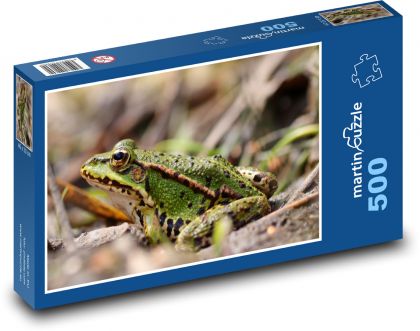 Żaba - przyroda, płaz - Puzzle 500 elementów, rozmiar 46x30 cm