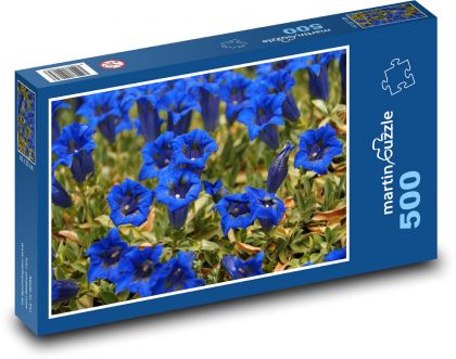 Hořec - modrý květ, květina - Puzzle 500 dílků, rozměr 46x30 cm