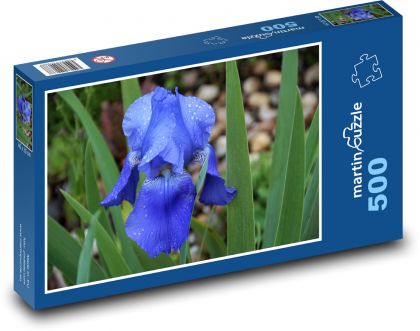 Kosatec - modrý, záhrada - Puzzle 500 dielikov, rozmer 46x30 cm 