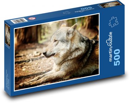 Vlk - zvíře, příroda - puzzle 500 dílků
