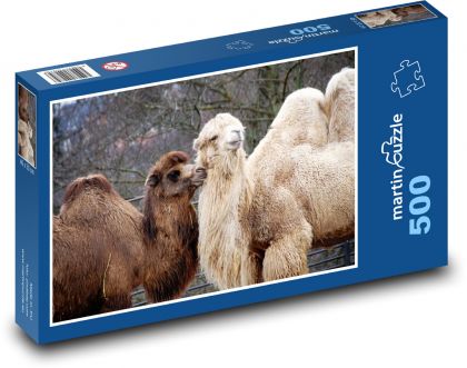 Velbloud - zvíře, safari - puzzle 500 dílků