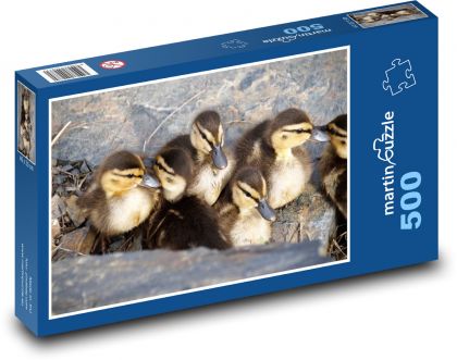 Kaczki - młode, ptaki - Puzzle 500 elementów, rozmiar 46x30 cm