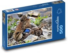 Kačica - kačica, mláďatá Puzzle 500 dielikov - 46 x 30 cm 