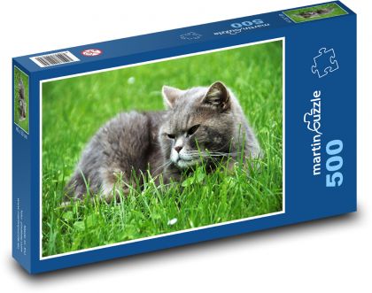 Britská kočka - modrá, kocour - puzzle 500 dílků