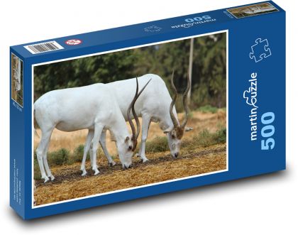 White antelope - animals, nature - Puzzle of 500 pieces, size 46x30 cm 