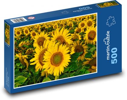 Sunflower - summer, field - Puzzle of 500 pieces, size 46x30 cm 
