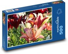 Červená lilie - zahrada, květ Puzzle 500 dílků - 46 x 30 cm