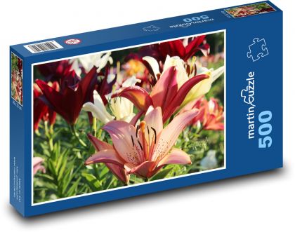 Červená lilie - zahrada, květ - Puzzle 500 dílků, rozměr 46x30 cm