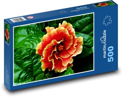Ibištek - oranžový kvet, kvetina - Puzzle 500 dielikov, rozmer 46x30 cm 