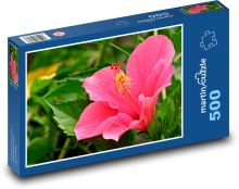 Hibiskus - rosa Blume, Garten Puzzle 500 Teile - 46 x 30 cm