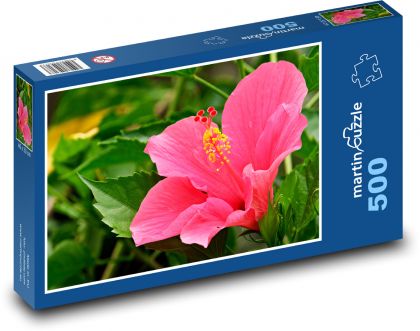 Ibišek - růžový květ, zahrada - Puzzle 500 dílků, rozměr 46x30 cm