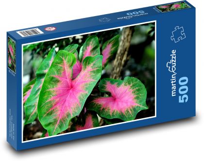 Wąż - roślina, kwiat - Puzzle 500 elementów, rozmiar 46x30 cm